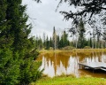 Озерки: отзыв от Елена Коротеева