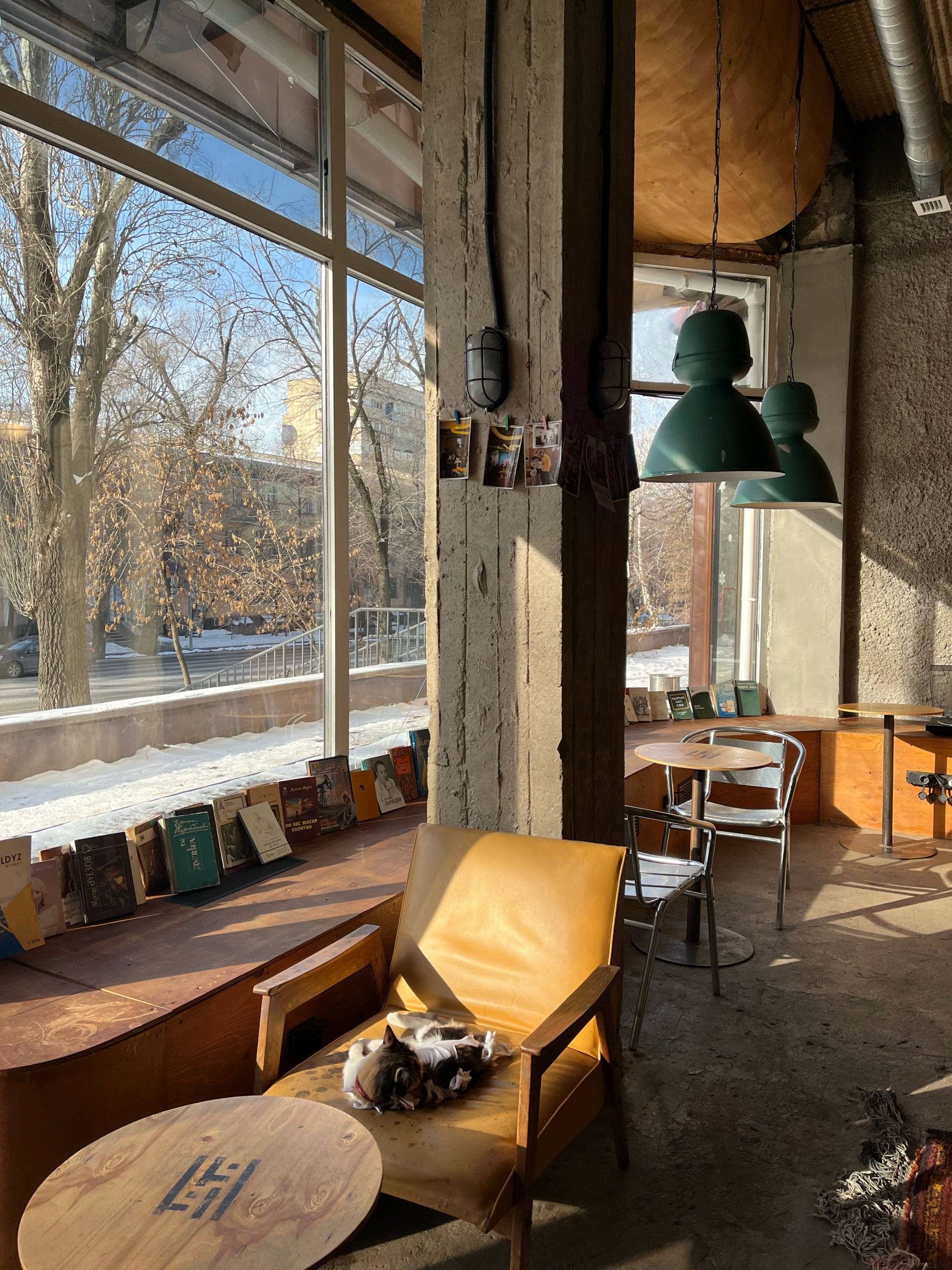 Нәзіктік - бұл заңсыз жыныстық қатынас