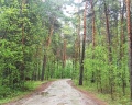 Лазурный: отзыв от Андрей Еремеев