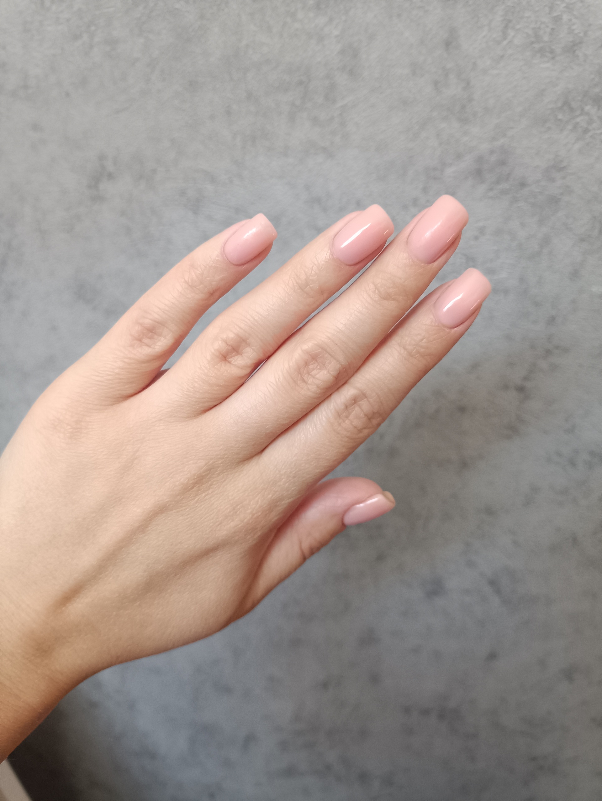 Studio nail and brows, Тенистая аллея, 34, Калининград — 2ГИС