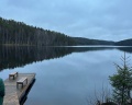 На паузе: отзыв от Таиса Куренчанина