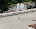 Синдика: отзыв от Мария Гараба