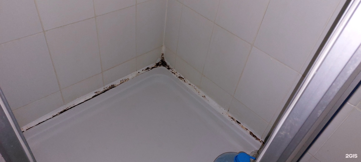 Терең жұлдыру порно онлайн Бір топ ер адамдар желіде ішке кіреді