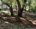 Седанка: отзыв от Николай Р.