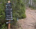 Greenvald парк Скандинавия: отзыв от Снежана Рогальская