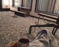 Fox house: отзыв от Екатерина Лисина