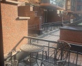 Dionis Art Apartments: отзыв от Сергей Улиско