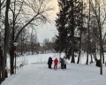 Воздвиженское: отзыв от ilsia_curiocity !