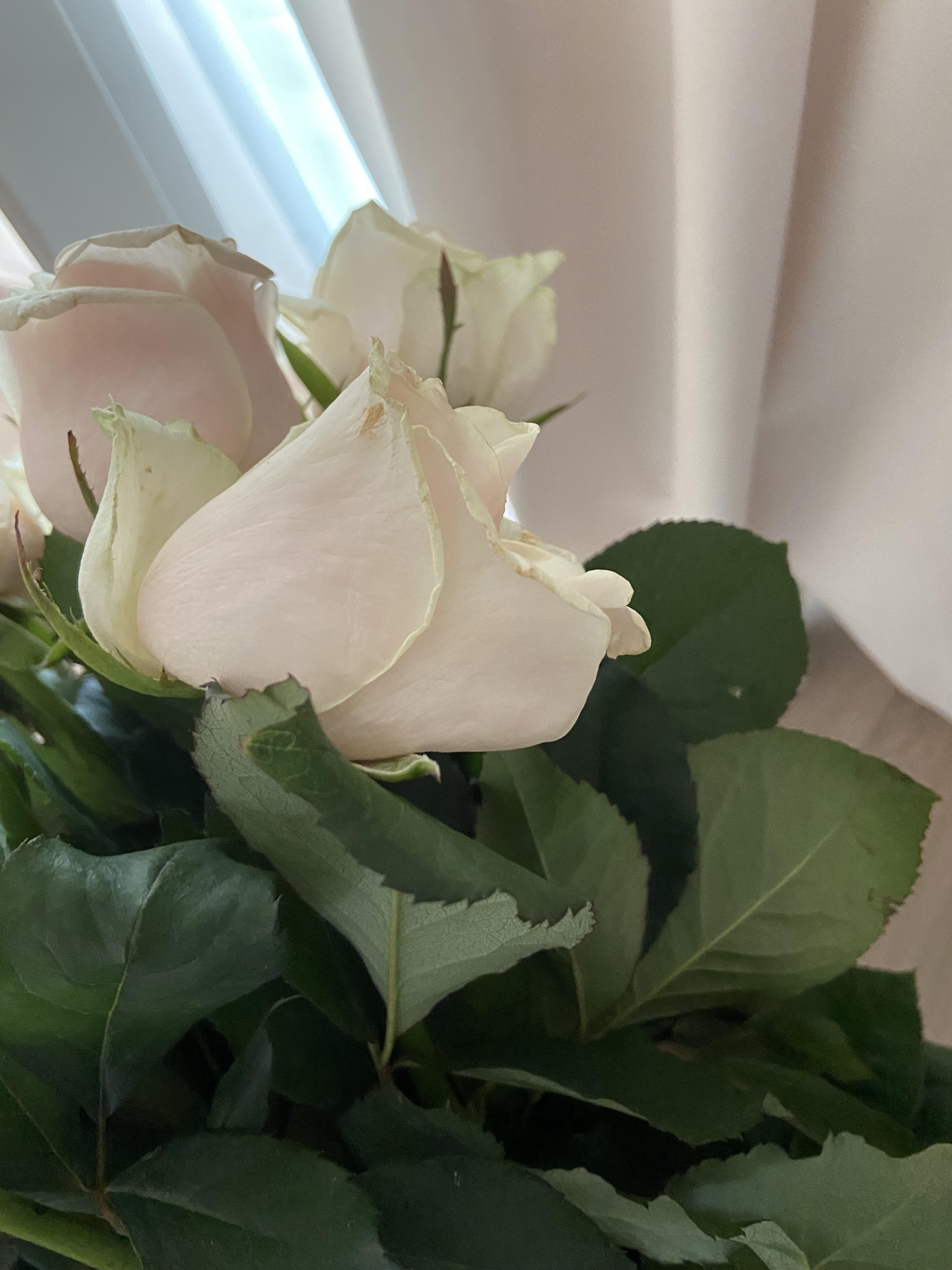 Arks Flowers, студия цветов, улица Капитана Дорофеева, 26, Киров — 2ГИС