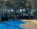 Приморье Grand Resort: отзыв от Ольга Ветрова