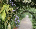 Bridge resort: отзыв от Евгения Хачатрян