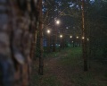 НеДача: отзыв от Городской житель