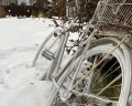 Радость: отзыв от Anna Sh