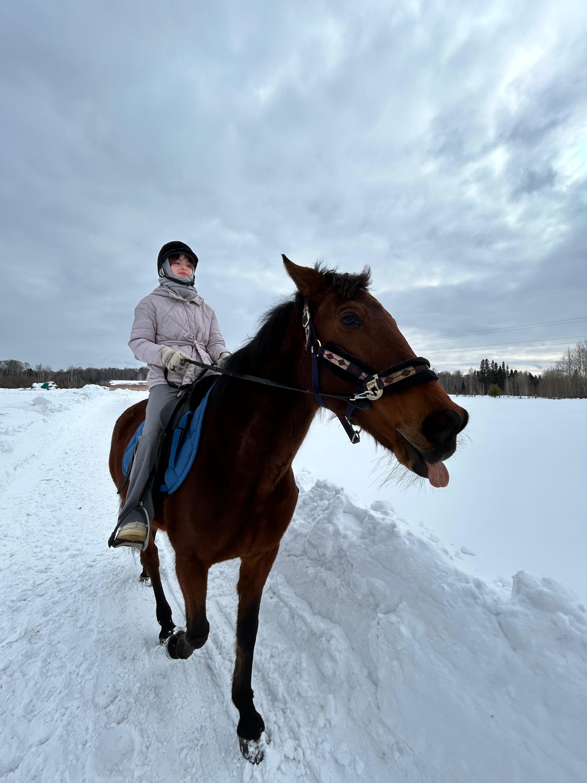 Alicorn_tomsk, Родионовская улица, 1, с. Корнилово — 2ГИС