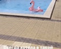 Grand paradise: отзыв от Марина Эминова
