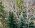 Курорт Увильды: отзыв от Ольга Бородина (Акатьева)