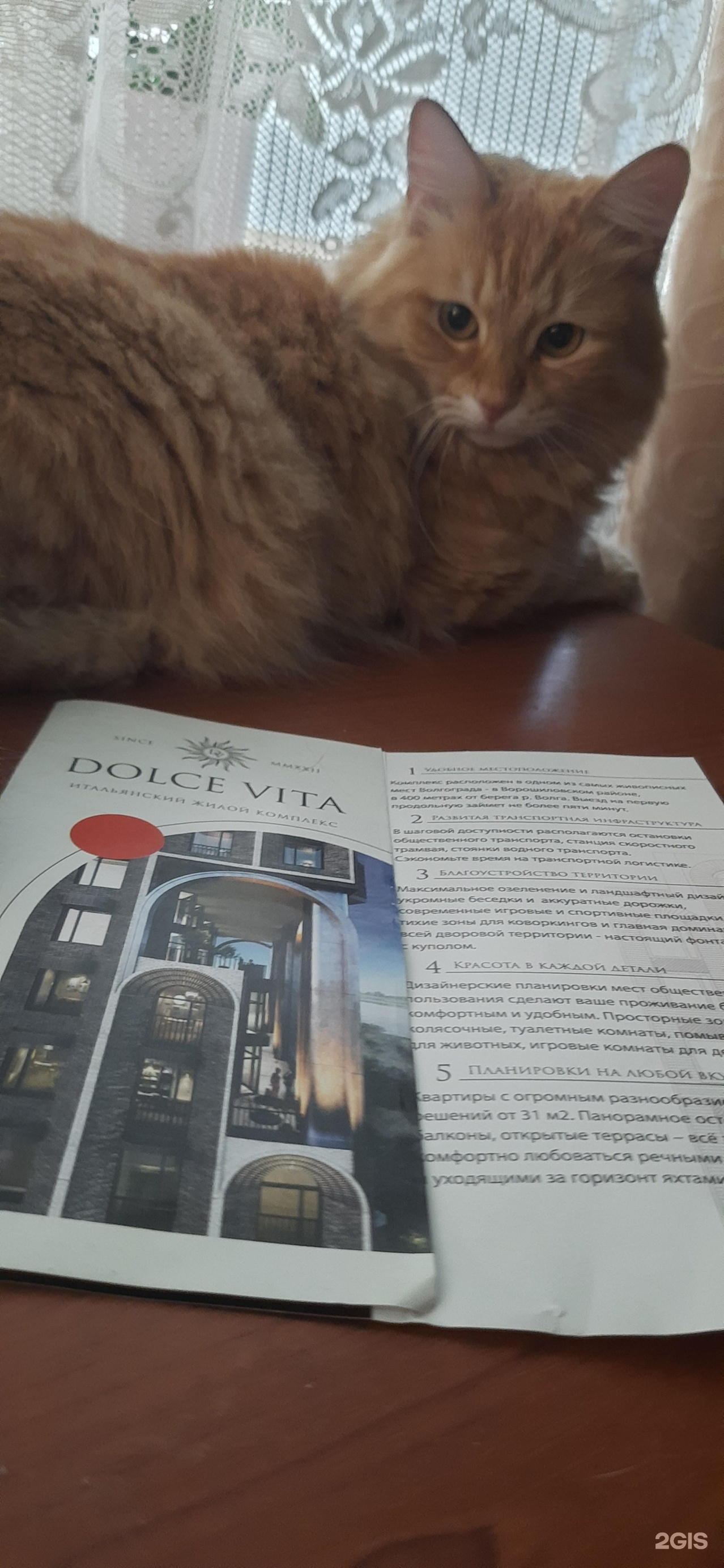 Dolce vita, строящийся жилой комплекс, улица Майкопская, 5д, Волгоград —  2ГИС