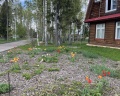 Лагуна Юг: отзыв от Юлия Долгова