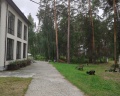 Белый камень: отзыв от Татьяна С