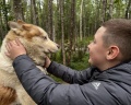 Северное сияние: отзыв от Ольга .