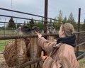 Усадьба Яхрома: отзыв от Анастасия R