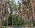 Борвиха hotel&SPA: отзыв от Зарина Джебраилова