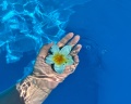 Cherry33: отзыв от Татевик Карапетян