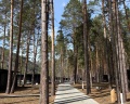 Pinewood resort&SPA: отзыв от Mia K