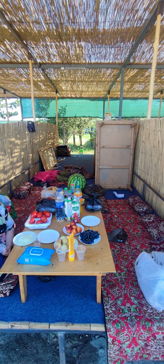 Qizlar va mushukdagi barmoq