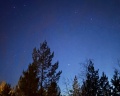 4 сезона: отзыв от Галина Капустина