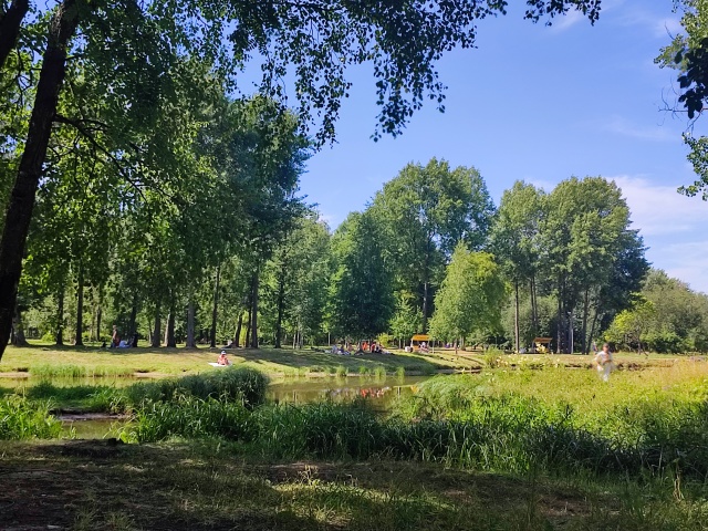 Парк есенина санкт петербург фото Отзывы о Парк им. Есенина, Санкт-Петербург, Санкт-Петербург - 2ГИС