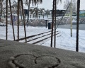 Dolphin planet: отзыв от N Nekrasova
