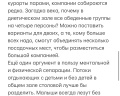 Русь: отзыв от Алексей User