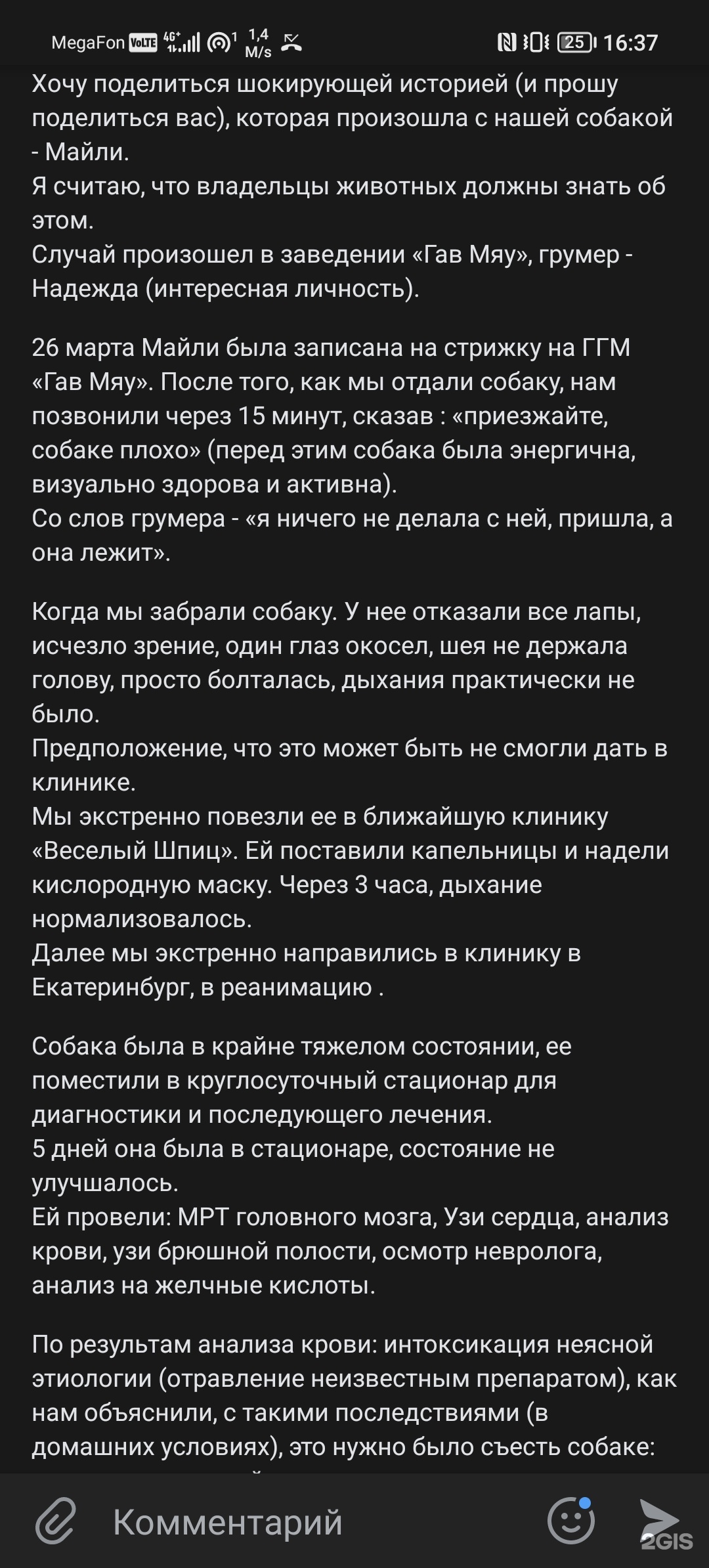 Гав и мяу, клубный зоомагазин, Октябрьский проспект, 2, Нижний Тагил — 2ГИС