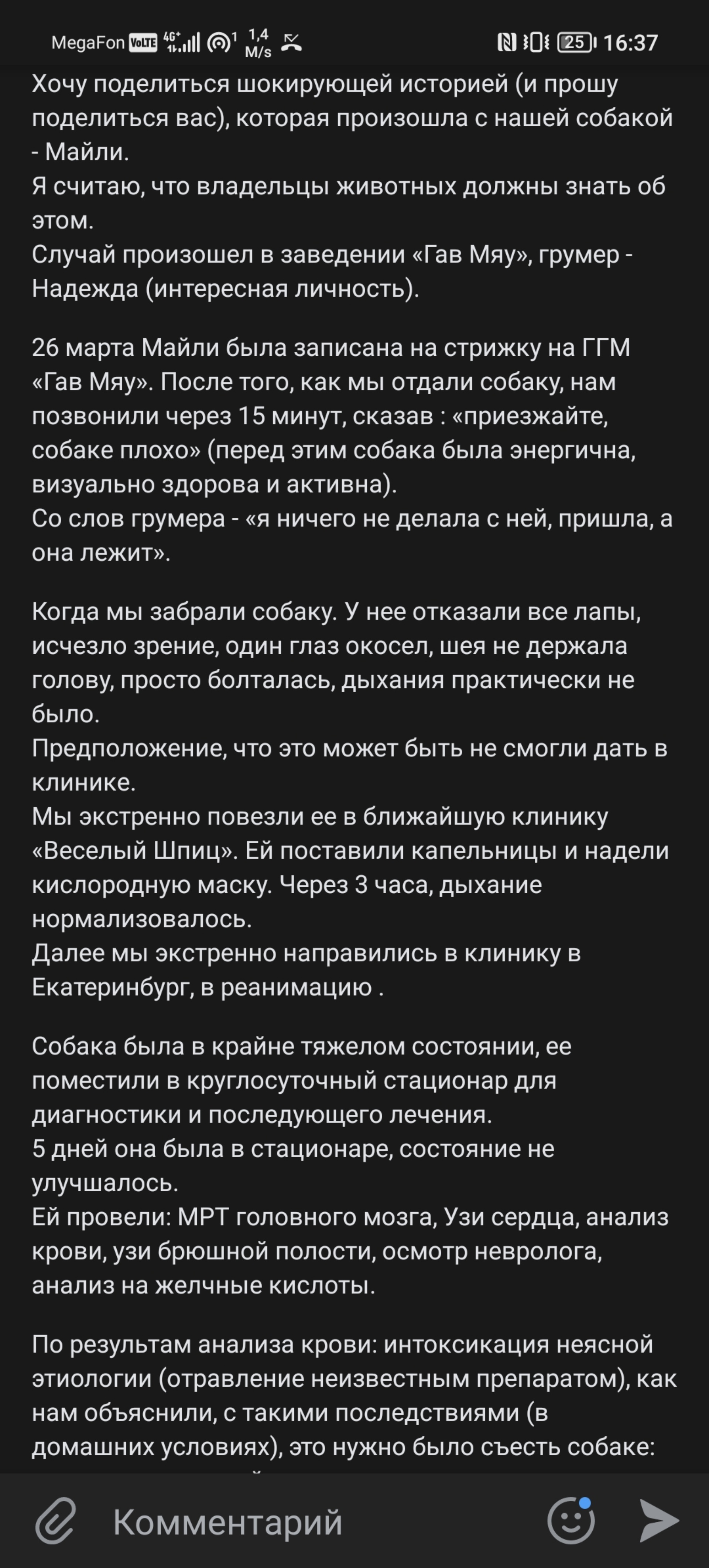 Гав и мяу, клубный зоомагазин, Октябрьский проспект, 2, Нижний Тагил — 2ГИС