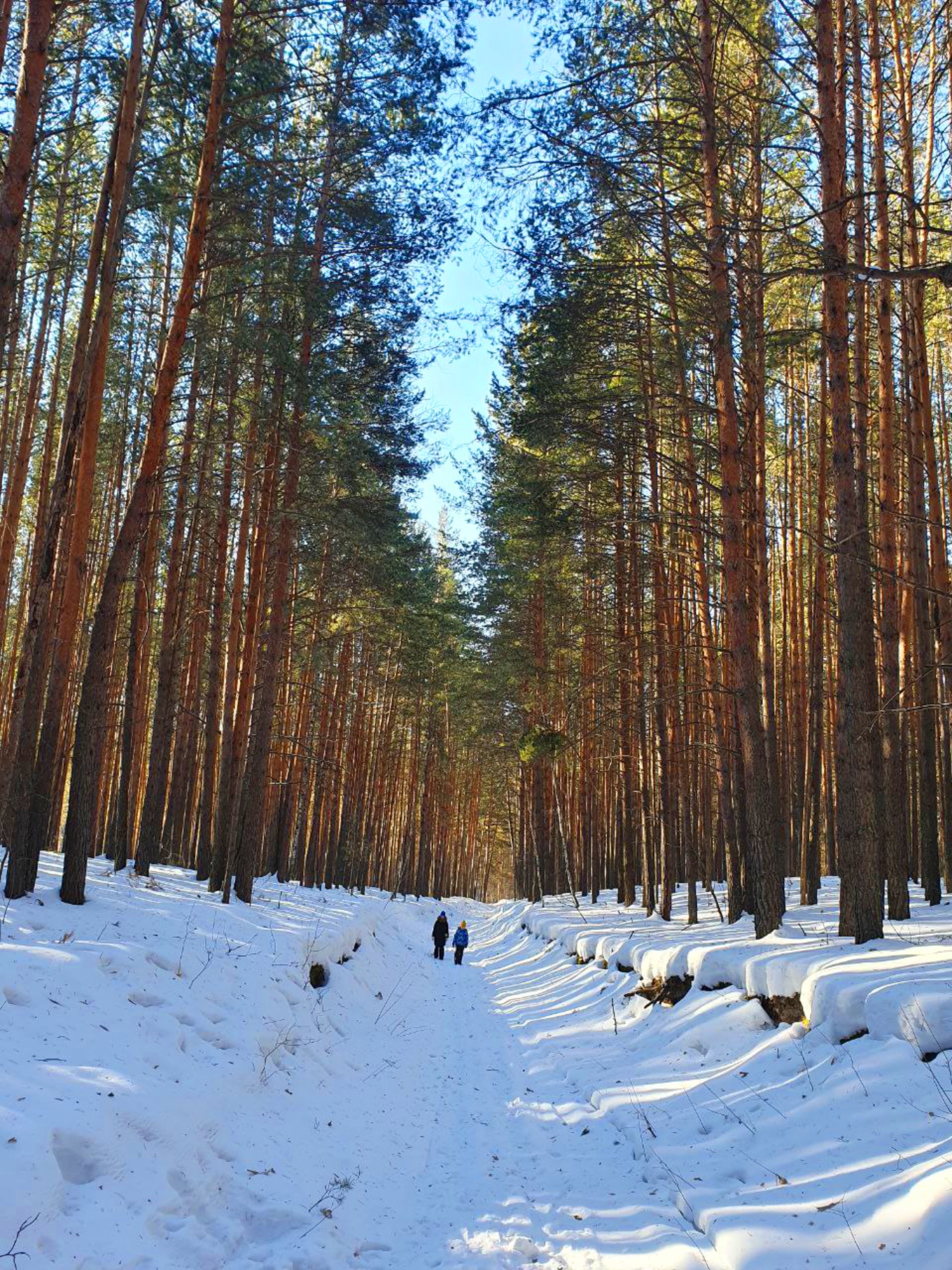 Серебряный берег, гостиница, Кооперативная улица, 35, рп. Муромцево — 2ГИС