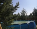 Брусника: отзыв от Алена Федотова