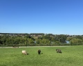 Дубки: отзыв от Маргарита Ханнанова