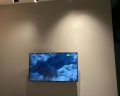 Cosmos Smart Moscow Semenovskaya Hotel: отзыв от Вероника Казакова
