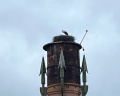 Марьино: отзыв от Юлия Подвиг