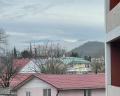 Апартаменты на Тюльпанов: отзыв от Пользователь )