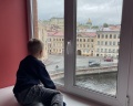 Laika: отзыв от Альбина Никулина