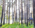 Бурдугуз: отзыв от Максим Рычков