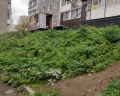 Навигатор: отзыв от Ирина Климович
