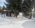Томск: отзыв от Артём Кобзарев