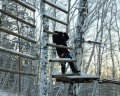 Лесная сказка: отзыв от Лена Босых