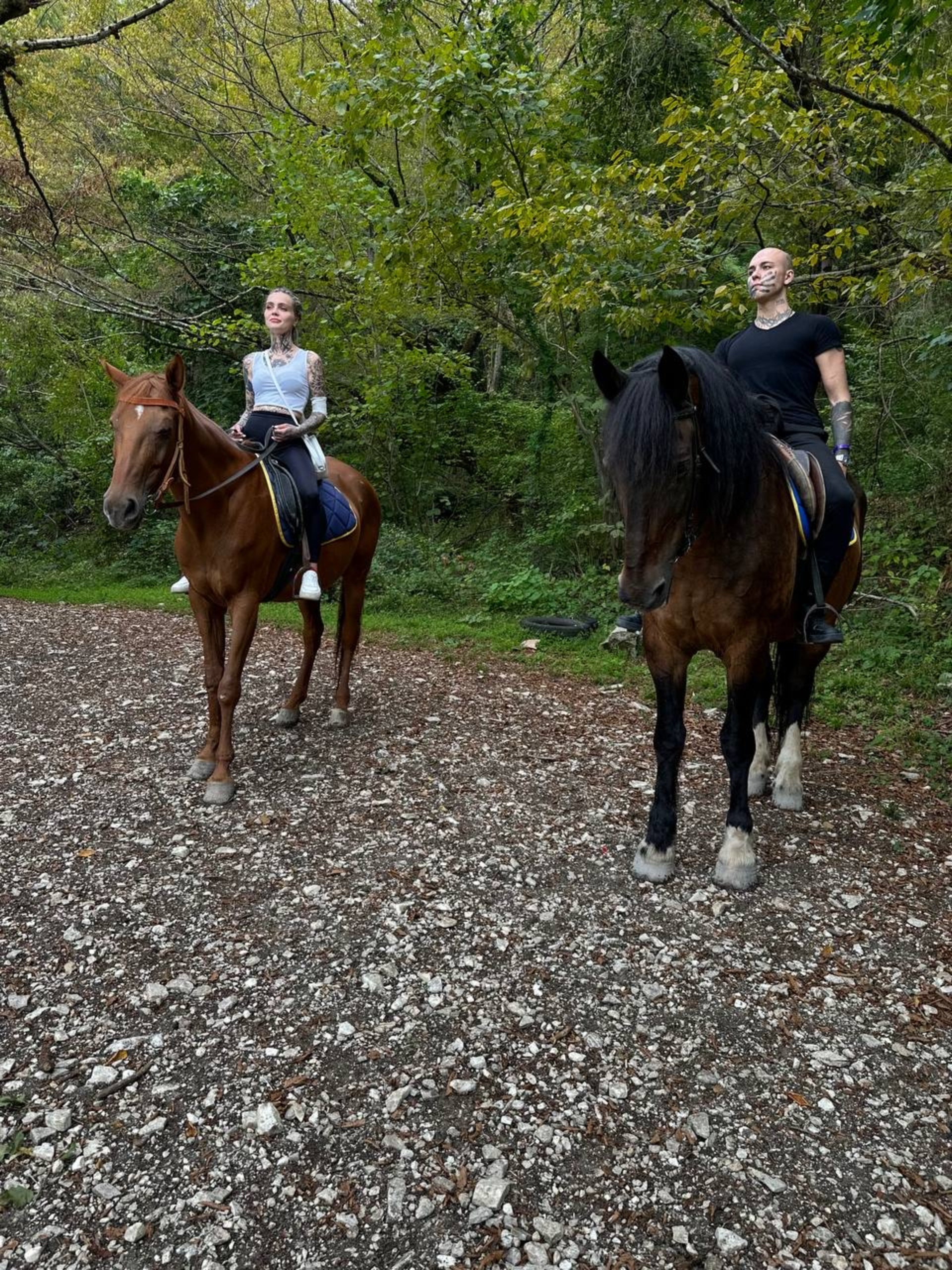 КонТур, конный клуб, Солоники, 43, Сочи — 2ГИС