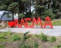 Алсма: отзыв от Алла Серкова