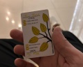 Белое дерево: отзыв от ДРУЖЕЛЮБНЫЙ КОТ