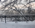 7 terrass: отзыв от Андрей Леонов